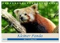Kleiner Panda auf Entdeckungstour (Tischkalender 2024 DIN A5 quer), CALVENDO Monatskalender - Peter Hebgen
