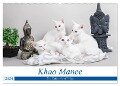 Khao Manee - Die Katze der Könige (Wandkalender 2024 DIN A2 quer), CALVENDO Monatskalender - Fotodesign Verena Scholze
