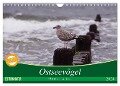 Ostseevögel (Wandkalender 2024 DIN A4 quer), CALVENDO Monatskalender - Angela Münzel-Hashish - Www. Tierphotografie. Com