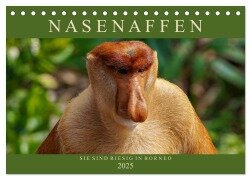 Nasenaffen von Borneo (Tischkalender 2025 DIN A5 quer), CALVENDO Monatskalender - Arne Wünsche
