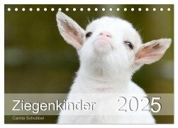 Ziegenkinder (Tischkalender 2025 DIN A5 quer), CALVENDO Monatskalender - Carola Schubbel