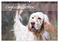 English Setter ¿ Impressionen edler Hunde (Wandkalender 2024 DIN A2 quer), CALVENDO Monatskalender - Visovio Visovio