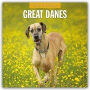 Cover-Bild zum Titel 'Great Danes - Deutsche Dogge 2026 - 16-Monatskalender' von 'Robin Red'