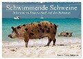 Schwimmende Schweine (Wandkalender 2024 DIN A2 quer), CALVENDO Monatskalender - Elisabeth Stanzer