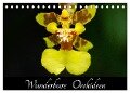 Wunderbare Orchideen (Tischkalender 2024 DIN A5 quer), CALVENDO Monatskalender - Jürgen Wöhlke