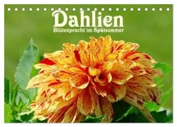 Dahlien - Blütenpracht im Spätsommer (Tischkalender 2025 DIN A5 quer), CALVENDO Monatskalender - LianeM LianeM