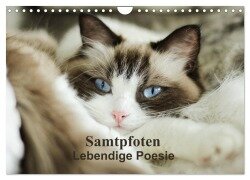 Samtpfoten Lebendige Poesie (Wandkalender 2026 DIN A4 quer), CALVENDO Monatskalender - Marion Reiß-Seibert