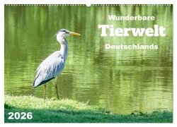 Wunderbare Tierwelt Deutschlands (Wandkalender 2026 DIN A2 quer), CALVENDO Monatskalender - Angela Rohde