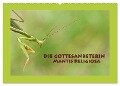 Die Gottesanbeterin Mantis Religiosa (Wandkalender 2024 DIN A2 quer), CALVENDO Monatskalender - Gugigei Gugigei