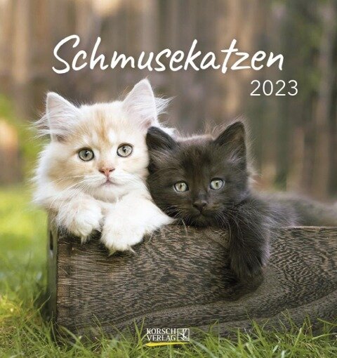 Schmusekatzen 2023 - 