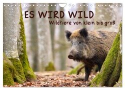 ES WIRD WILD Wildtiere von klein bis groß (Wandkalender 2025 DIN A4 quer), CALVENDO Monatskalender - Angela Merk
