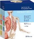 Cover-Bild zum Titel 'PROMETHEUS LernKarten des Bewegungssystems' von 'Michael Schünke, Erik Schulte, Udo Schumacher'