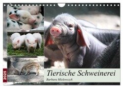Tierische Schweinerei (Wandkalender 2025 DIN A4 quer), CALVENDO Monatskalender - Barbara Mielewczyk