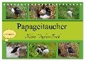 Papageitaucher Kleine Vögel im Frack CH Version (Tischkalender 2024 DIN A5 quer), CALVENDO Monatskalender - Babett Paul - Babett's Bildergalerie