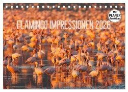 Flamingo Impressionen 2026 (Tischkalender 2026 DIN A5 quer), CALVENDO Monatskalender - Ingo Gerlach