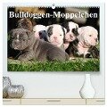 Bulldoggen-Moppelchen (hochwertiger Premium Wandkalender 2024 DIN A2 quer), Kunstdruck in Hochglanz - Elisabeth Stanzer