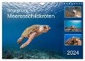 Begegnung mit Meeresschildkröten (Wandkalender 2024 DIN A4 quer), CALVENDO Monatskalender - Yvonne Tilo Kühnast - naturepics