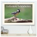 Gefiederte Schönheiten - Die Kohlmeise (hochwertiger Premium Wandkalender 2024 DIN A2 quer), Kunstdruck in Hochglanz - Rolf Pötsch