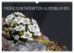 Meine 12 schönsten Alpenblumen (Wandkalender 2025 DIN A3 quer), CALVENDO Monatskalender - Christa Kramer