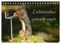 Eichhörnchen - zauberhaft verspielt (Tischkalender 2026 DIN A5 quer), CALVENDO Monatskalender - Angela Merk