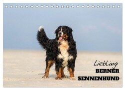 Liebling BERNER SENNENHUND (Tischkalender 2025 DIN A5 quer), CALVENDO Monatskalender - Www. Annettmirsberger. de Mirsberger