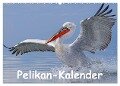 Pelikan-Kalender (Wandkalender 2024 DIN A2 quer), CALVENDO Monatskalender - Gerald Wolf