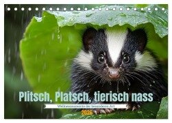 Plitsch, Platsch, tierisch nass (Tischkalender 2026 DIN A5 quer), CALVENDO Monatskalender - Daniela Tapper