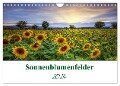 Sonnenblumenfelder (Wandkalender 2024 DIN A4 quer), CALVENDO Monatskalender - Gierok, Steffen Magic Artist Design
