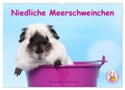 Cover-Bild zum Titel 'Niedliche Meerschweinchen (Wandkalender 2026 DIN A2 quer), CALVENDO Monatskalender' von 'Jeanette Hutfluss'