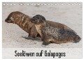 Seelöwen auf Galapagos (Tischkalender 2024 DIN A5 quer), CALVENDO Monatskalender - Sabine Reuke