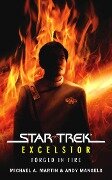 Star Trek: The Original Series: Excelsior: Forged in Fire - Michael A Martin, Andy Mangels