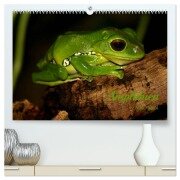 Amphibien (hochwertiger Premium Wandkalender 2025 DIN A2 quer), Kunstdruck in Hochglanz - Heike Hultsch