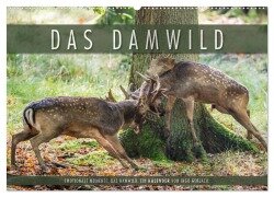 Emotionale Momente: Das Damwild. (Wandkalender 2026 DIN A2 quer), CALVENDO Monatskalender - Ingo Gerlach