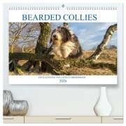 BEARDED COLLIES 2026 (hochwertiger Premium Wandkalender 2026 DIN A2 quer), Kunstdruck in Hochglanz - Annett Mirsberger