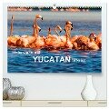 Unterwegs auf Yucatan Mexiko (hochwertiger Premium Wandkalender 2024 DIN A2 quer), Kunstdruck in Hochglanz - Frank Baumert