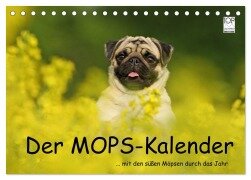 Cover-Bild zum Titel 'Der MOPS-Kalender (Tischkalender 2026 DIN A5 quer), CALVENDO Monatskalender' von 'Kathrin Köntopp'