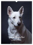 Treue Wegbegleiter, Hunde im Portrait. (Wandkalender 2026 DIN A3 hoch), CALVENDO Monatskalender - Susanne Stark