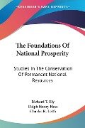 The Foundations Of National Prosperity - Richard T. Ely, Ralph Henry Hess, Charles K. Leith