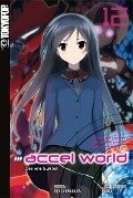 Accel World - Novel 12 - Reki Kawahara, Hima, Biipii