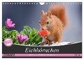 Eichhörnchen Momentaufnahmen fürs Herz (Wandkalender 2024 DIN A4 quer), CALVENDO Monatskalender - Tine Meier