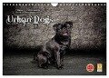 Urban Dogs - Hundekalender der anderen Art (Wandkalender 2024 DIN A4 quer), CALVENDO Monatskalender - Oliver Pinkoss Photostorys
