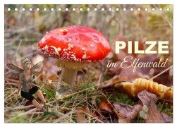 Pilze im Elfenwald (Tischkalender 2026 DIN A5 quer), CALVENDO Monatskalender - Sabine Löwer