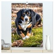 Cover-Bild zum Titel 'Entlebucher Sennenhunde begleiten Sie durch das Jahr (hochwertiger Premium Wandkalender 2026 DIN A2 hoch), Kunstdruck in Hochglanz' von 'SchnelleWelten SchnelleWelten'