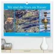 Wir sind die Stars am Wasser (hochwertiger Premium Wandkalender 2026 DIN A2 quer), Kunstdruck in Hochglanz - Christa Kramer