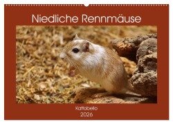 Niedliche Rennmäuse (Wandkalender 2026 DIN A2 quer), CALVENDO Monatskalender - Kattobello Kattobello