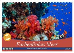 Farbenfrohes Meer (Wandkalender 2026 DIN A3 quer), CALVENDO Monatskalender - Sven Gruse
