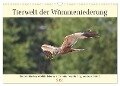 Tierwelt der Wümmeniederung (Wandkalender 2024 DIN A3 quer), CALVENDO Monatskalender - Jens Siebert