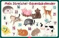 Cover-Bild zum Titel 'Mein Streichel-Adventskalender' von ''