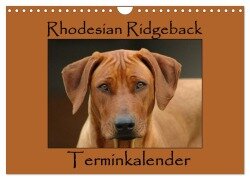 Rhodesian Ridgeback Terminkalender (Wandkalender 2025 DIN A4 quer), CALVENDO Monatskalender - Anke van Wyk - www. germanpix. net