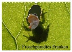 Froschparadies Franken (Wandkalender 2025 DIN A3 quer), CALVENDO Monatskalender - Günter Bachmeier